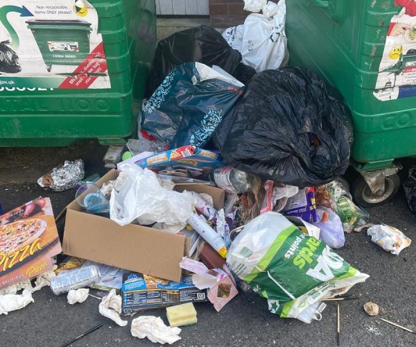 1d3aa959-c5f5-4f3b-8f96-d7d3b3f278ea