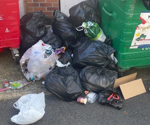 502260d5-678a-4ec1-88b6-ed7d3d1950af